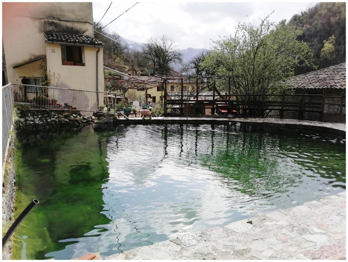 La Raccolta Διαμέρισμα Scheggino Εξωτερικό φωτογραφία