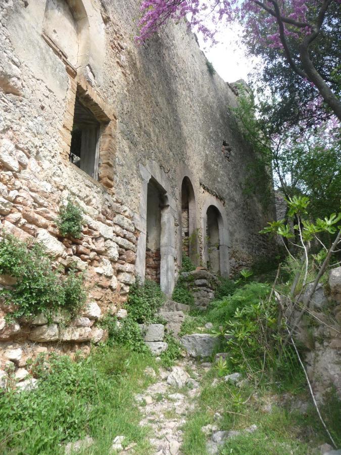 La Raccolta Διαμέρισμα Scheggino Εξωτερικό φωτογραφία