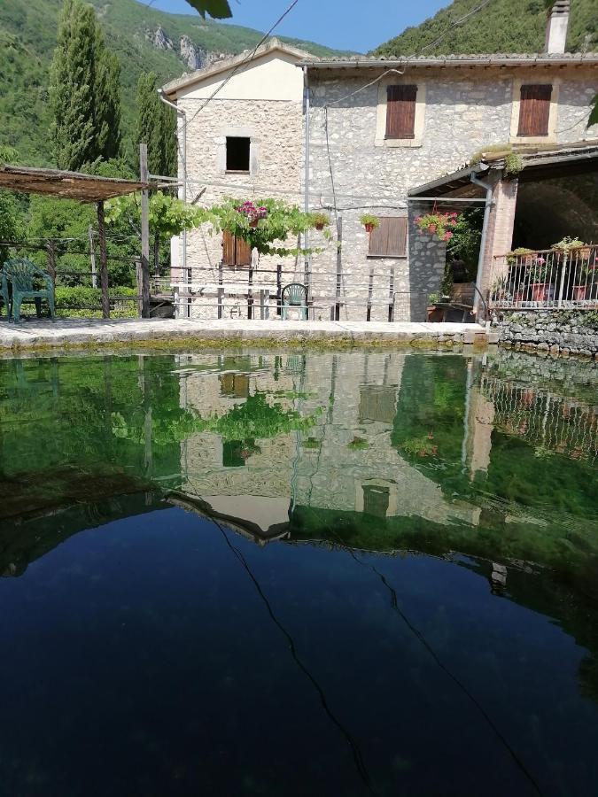 La Raccolta Διαμέρισμα Scheggino Εξωτερικό φωτογραφία